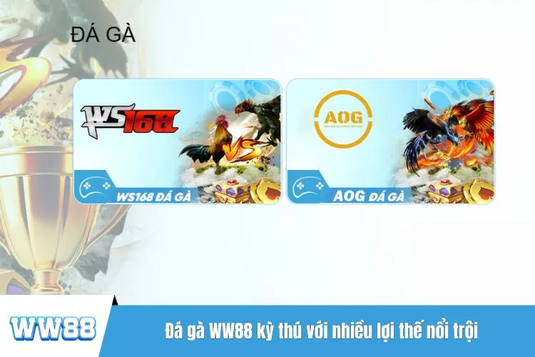 Đá gà WW88 kỳ thú với nhiều lợi thế nổi trội