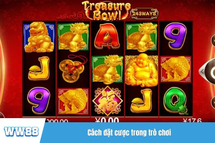 Cách đặt cược trong trò chơi
