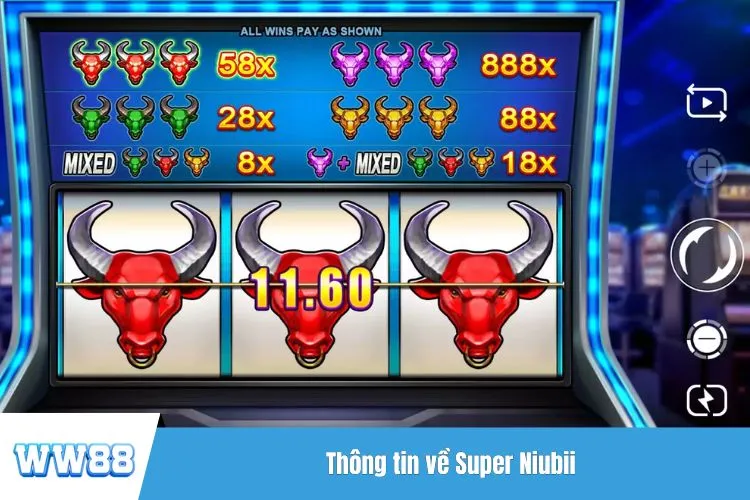 Thông tin về Super Niubii