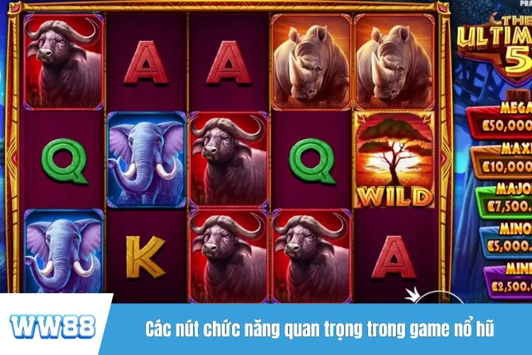 Các nút chức năng quan trọng trong game nổ hũ